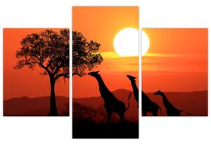 Slika žirafa u zalasku sunca (90x60 cm)