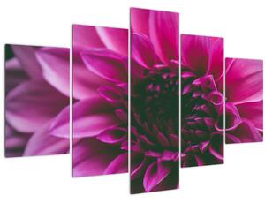 Slika ružičastog cvijeta (150x105 cm)