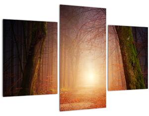 Slika jesenske šume u magli (90x60 cm)