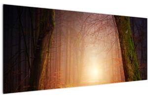 Slika jesenske šume u magli (120x50 cm)