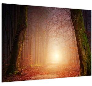 Slika jesenske šume u magli (70x50 cm)