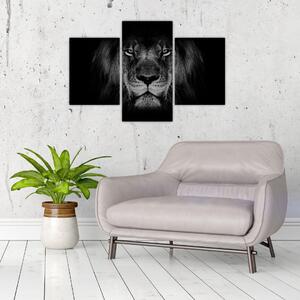 Slika - Veličanstveni lav (90x60 cm)