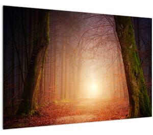 Slika jesenske šume u magli (90x60 cm)