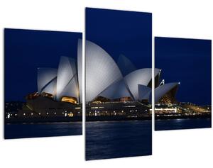 Noćna slika Sydneya (90x60 cm)