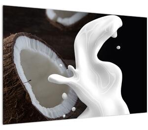 Slika - kokosovo mlijeko (90x60 cm)