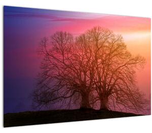 Slika drveća u magli (90x60 cm)