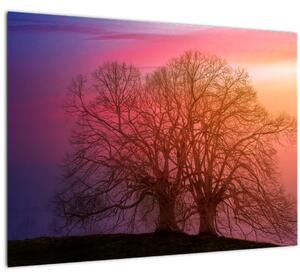 Slika drveća u magli (70x50 cm)