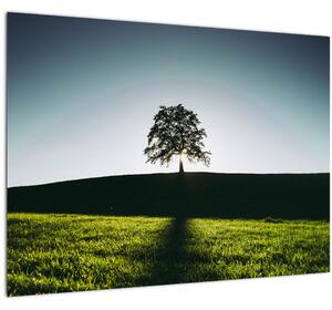 Slika prirode - stablo (70x50 cm)
