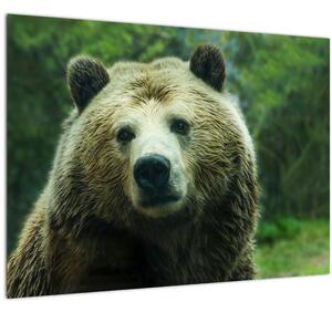 Slika medvjeda (70x50 cm)