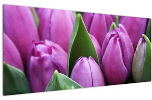 Slika - cvijeće tulipana (120x50 cm)