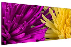 Slika - detalj cvijetova (120x50 cm)