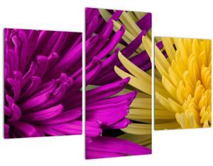 Slika - detalj cvijetova (90x60 cm)