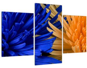 Detaljne slike cvijetova (90x60 cm)