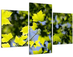 Slika - javorovo lišće (90x60 cm)