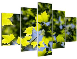 Slika - javorovo lišće (150x105 cm)