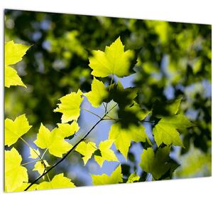 Slika - javorovo lišće (70x50 cm)