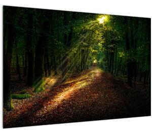 Slika šumskog puta (90x60 cm)