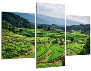Slika rižinih polja (90x60 cm)