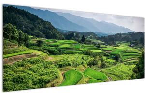 Slika rižinih polja (120x50 cm)