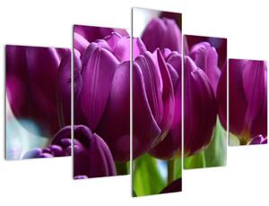Slika tulipana (150x105 cm)