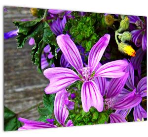 Slika - livadsko cvijeće (70x50 cm)