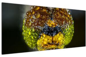 Detaljna slika očiju kukca (120x50 cm)