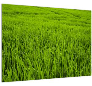 Slika trave (70x50 cm)