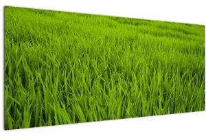 Slika trave (120x50 cm)