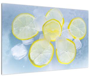 Slika limuna u ledu (90x60 cm)