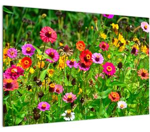 Slika livadskog cvijeća (90x60 cm)