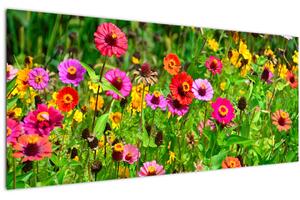 Slika livadskog cvijeća (120x50 cm)