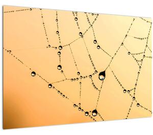 Slika rosne paučine (90x60 cm)