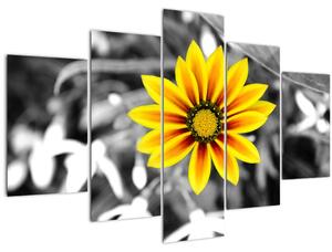 Slika žutog cvijeta (150x105 cm)