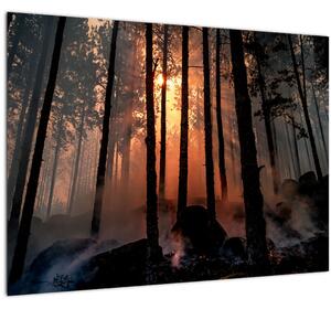 Slika mračne šume (70x50 cm)