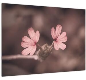 Slika ružičastog cvijeta (70x50 cm)