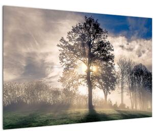 Slika drveta u magli (90x60 cm)