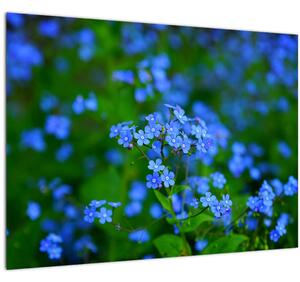 Slika plavog cvijeća (70x50 cm)
