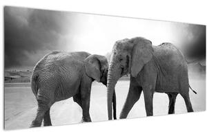 Slika - crno-bijeli slonovi (120x50 cm)