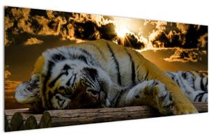 Slika usnulog tigra (120x50 cm)