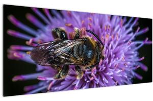 Slika pčele na cvijetu (120x50 cm)