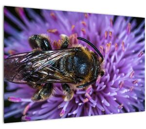 Slika pčele na cvijetu (90x60 cm)