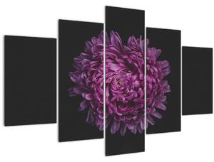 Slika ljubičastog cvijeta (150x105 cm)