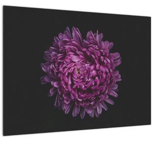 Slika ljubičastog cvijeta (70x50 cm)