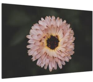 Slika narančastog cvijeta (90x60 cm)