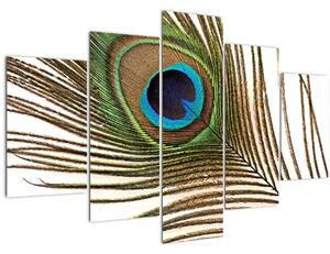 Slika paunovog perja (150x105 cm)