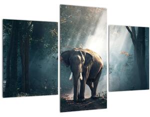 Slika slona u džungli (90x60 cm)