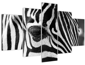 Slika zebre (150x105 cm)
