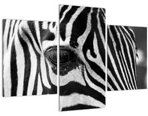 Slika zebre (90x60 cm)