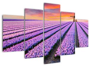 Slika - farma cvijeća (150x105 cm)