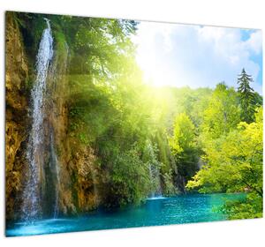Slika - slapovi u prašumi (70x50 cm)